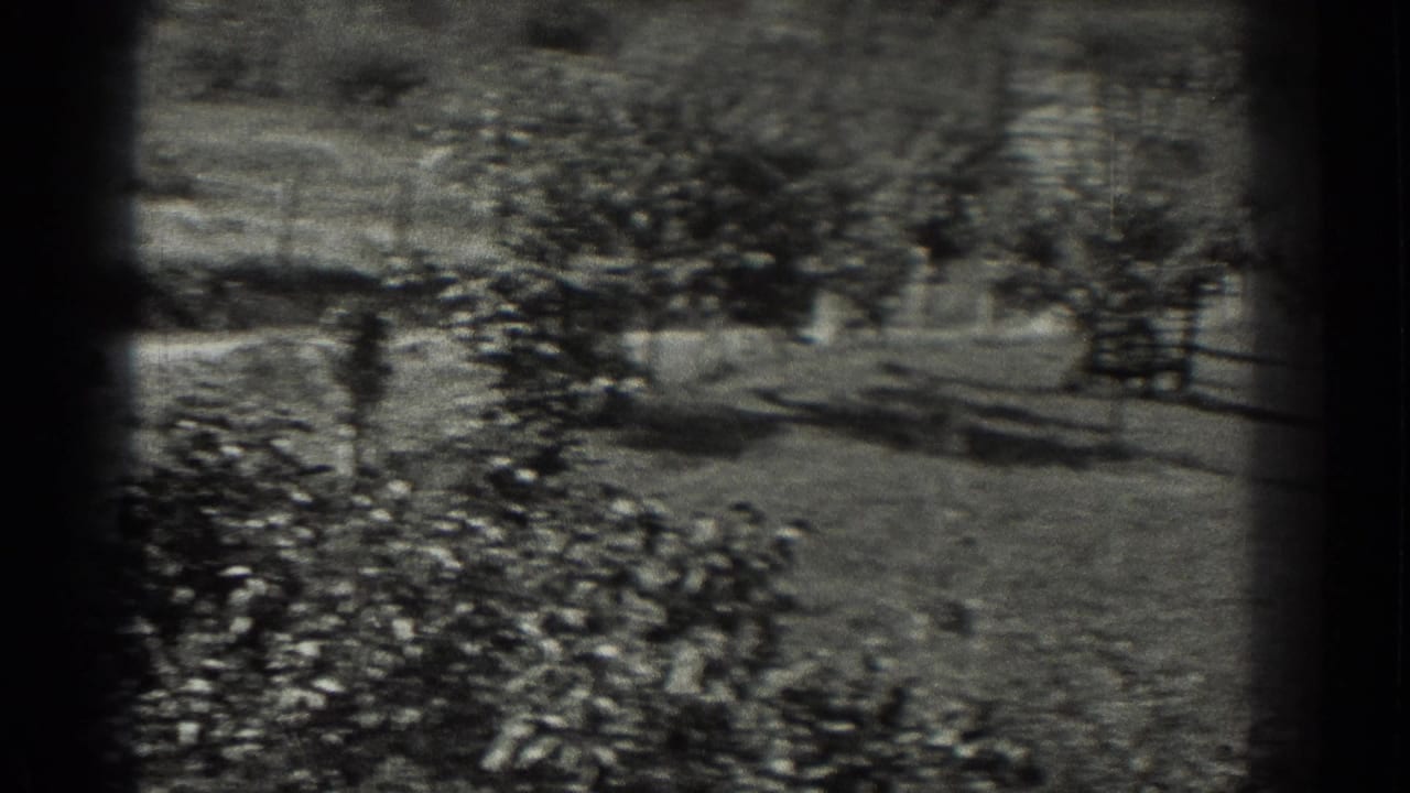 Black-and-white view of grass, shrubs, and scattered trees on a gently sloping landscape.