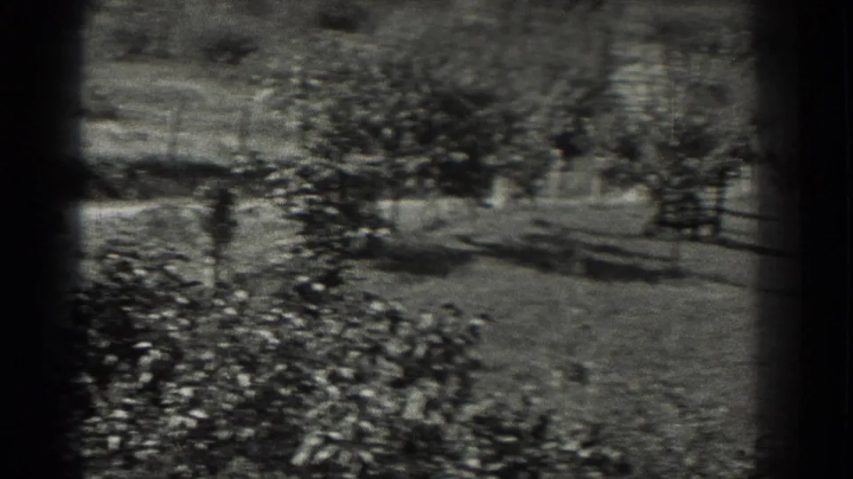 1937 8mm home-movie frame from Southhampton, New York, showing shrubs, open grass, and scattered trees in soft focus.