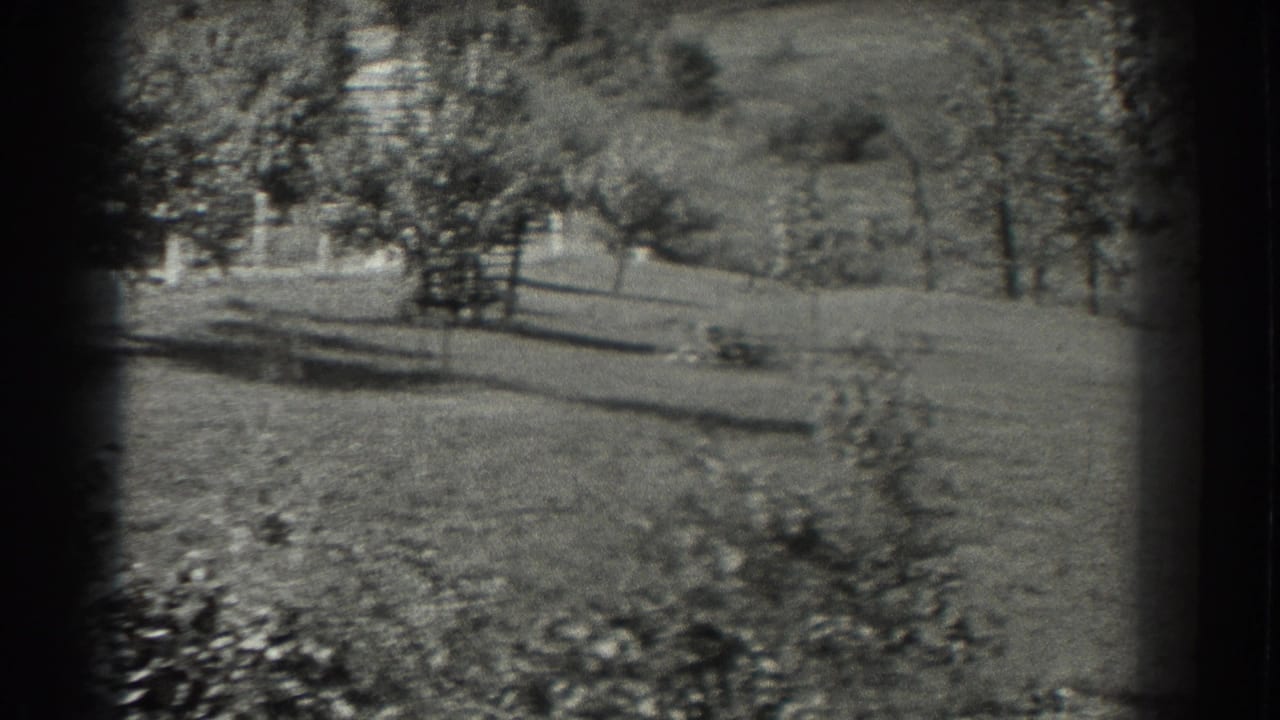 Open grassy field with scattered trees and darker tree shadows across the ground.