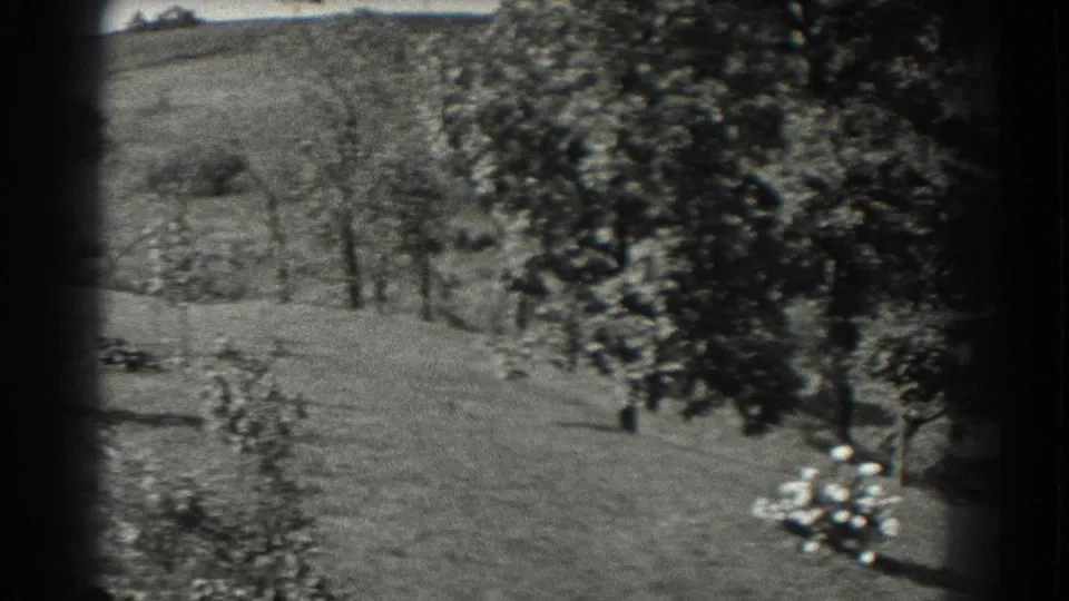 Southhampton 1937 8mm frame with rolling grass, young trees, dense foliage, and a pale flower cluster in the foreground.
