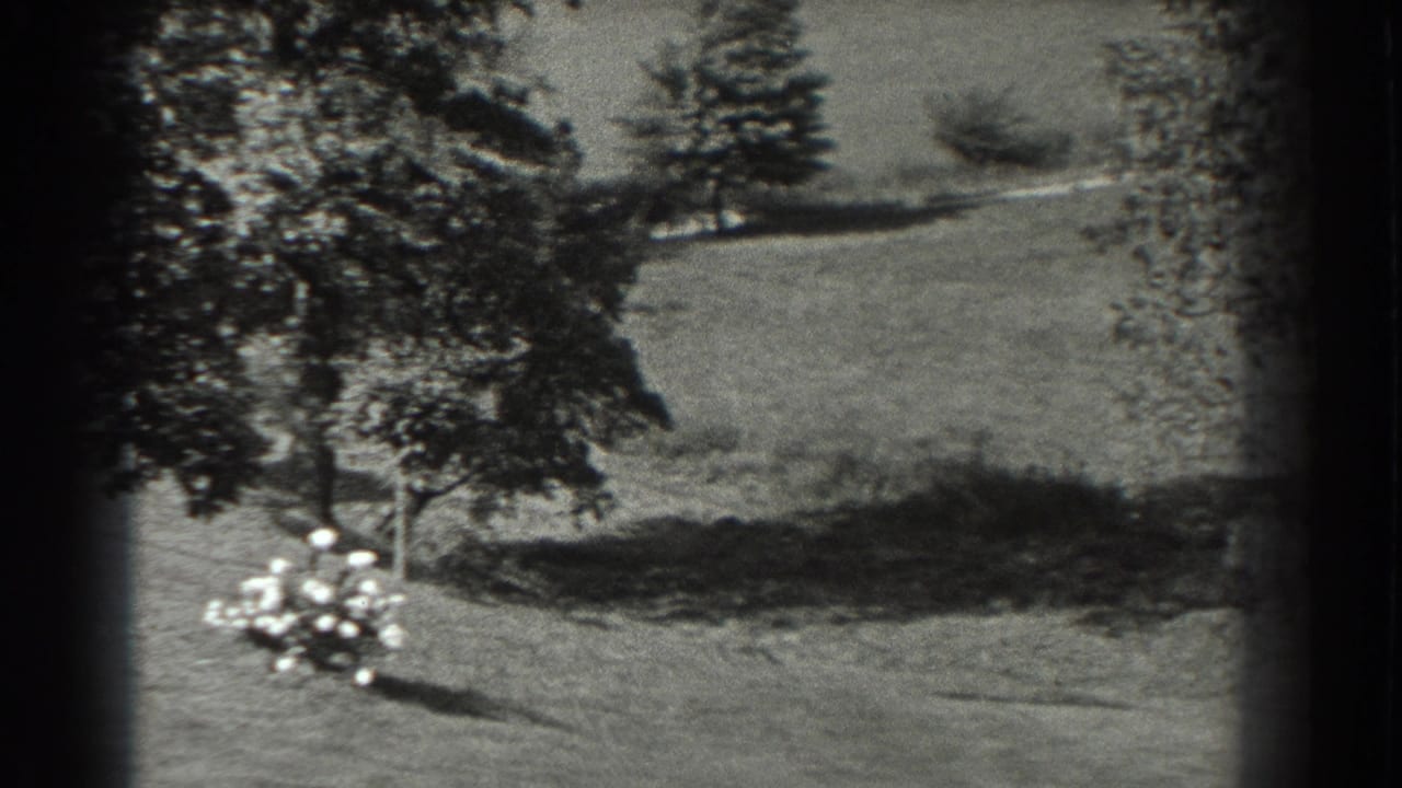 Open grassy area with mature trees and a small cluster of light flowers.