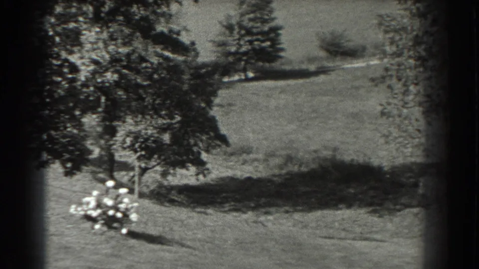 1937 8mm Southampton-area frame showing open grass, mature trees, and a small pale flower cluster near the lower left.