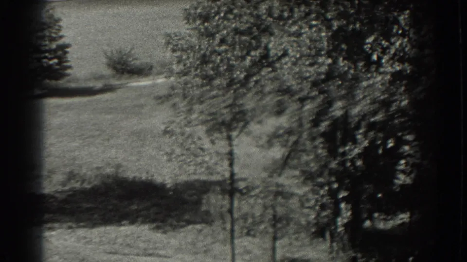 1937 8mm Southampton-area view of open grass, scattered trees, and darker leafy growth at the edge of the frame.