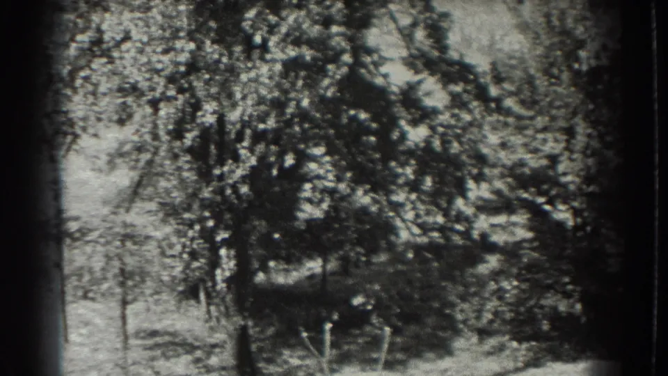 1937 8mm Southampton-area frame with dense tree branches, sloped grass, and soft monochrome texture.