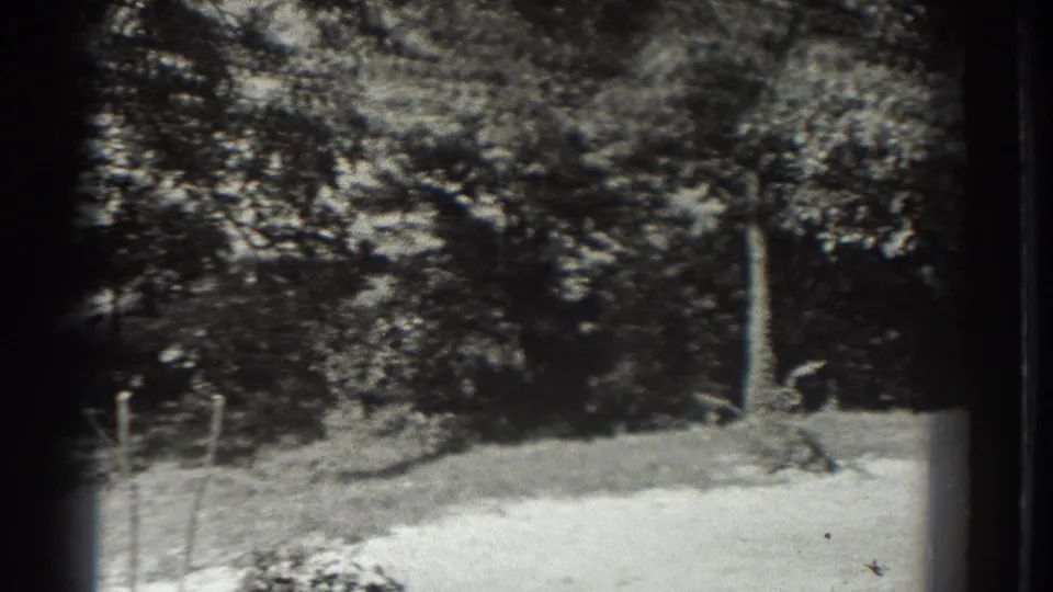 1937 8mm Southampton-area view of trees, shaded grass, and a pale open patch near the lower foreground.