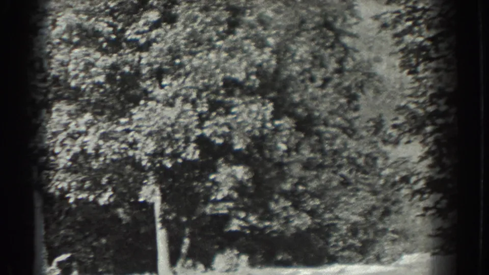 Black-and-white 8mm frame from Southampton showing trees, open ground, and a distant worker near the lower edge.