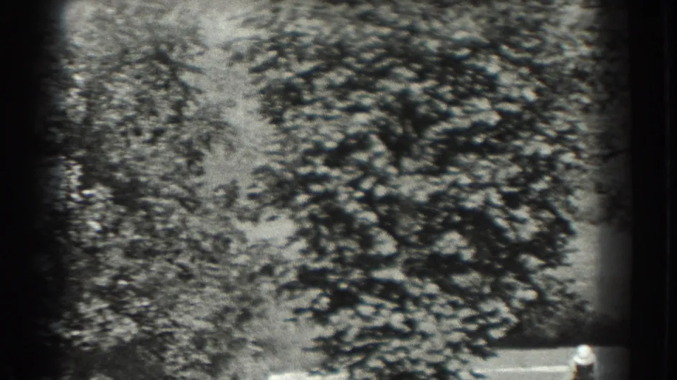 Soft 1937 8mm frame with dense shrubs and trees partly blocking the view of the Southampton field.