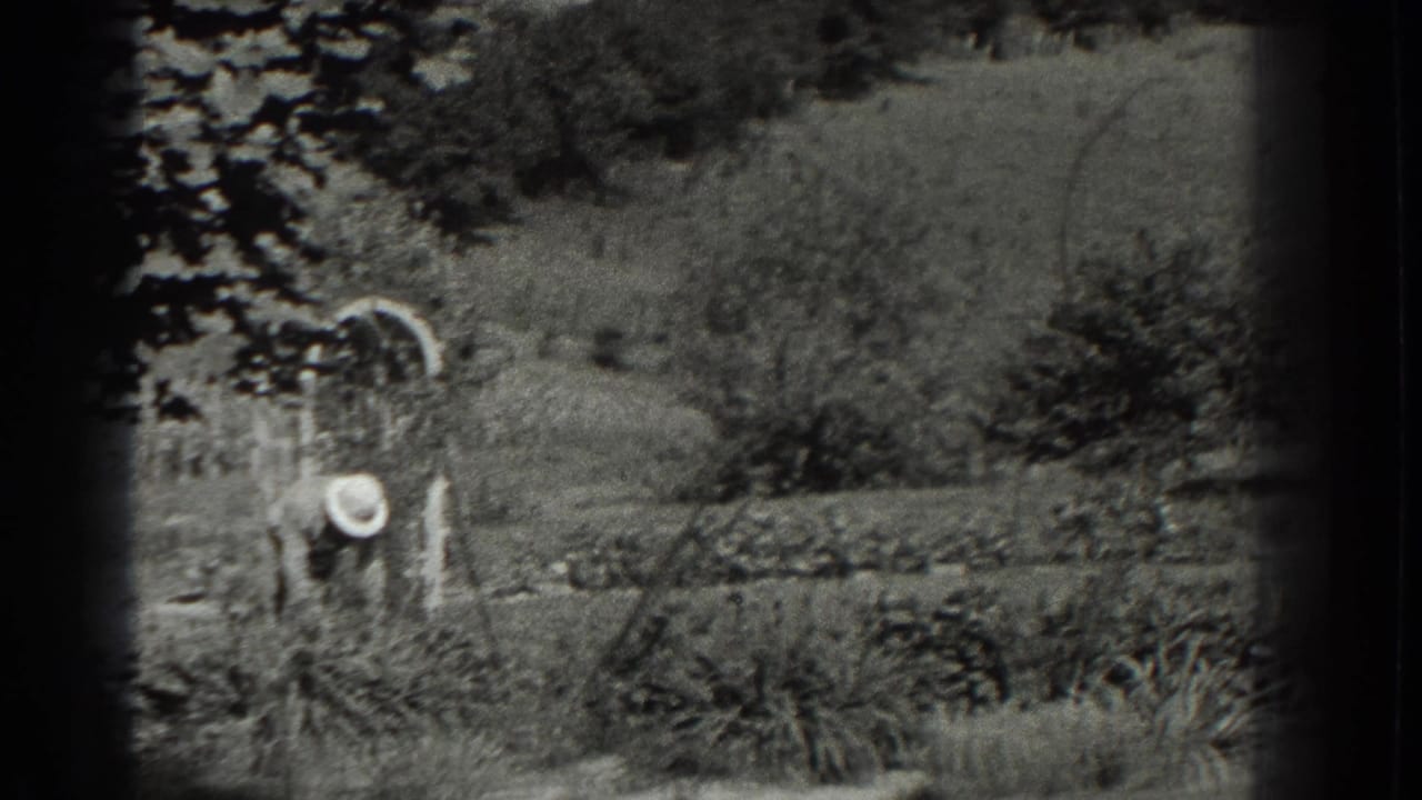 Garden view with a white arch trellis, a distant hat-wearing person and planted rows beyond.