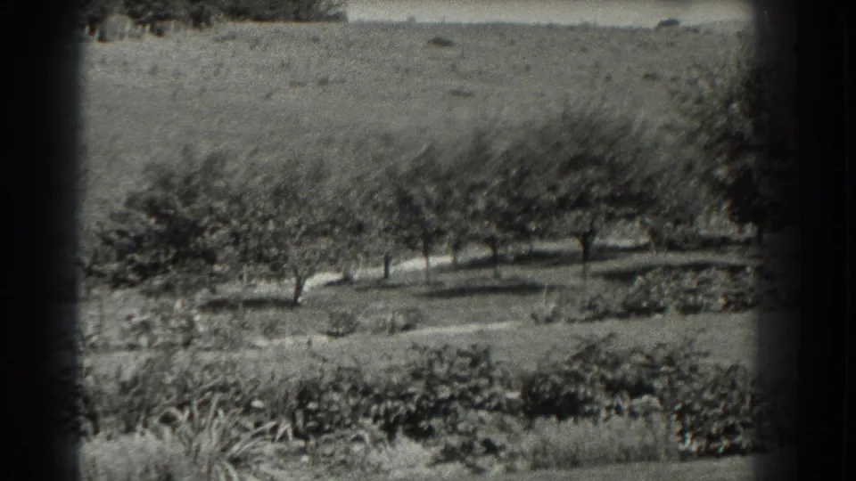 Black-and-white 8mm frame of the Southampton garden, showing planted rows, shrubs, lawn and distant open ground.