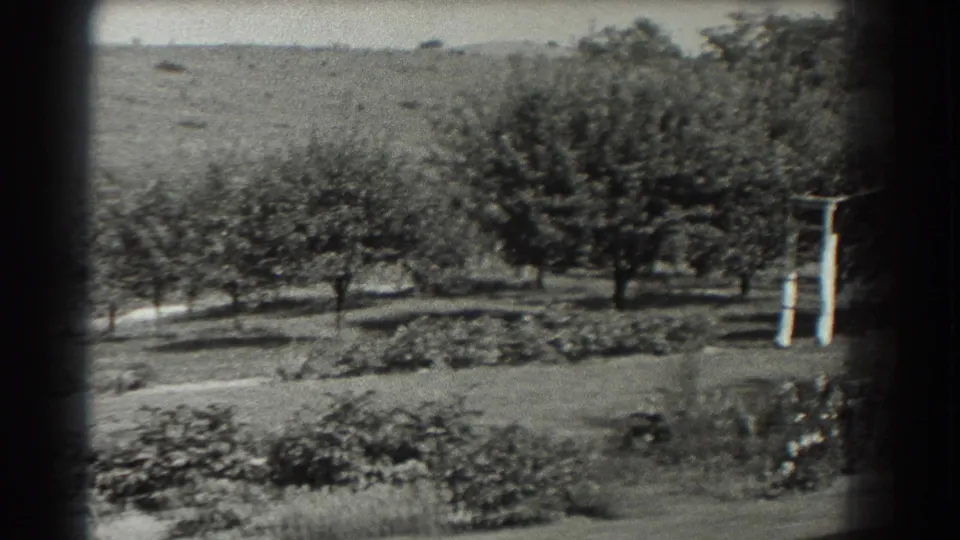 1937 Southampton garden frame with rows of trees, low beds and part of a white trellis or garden structure at right.