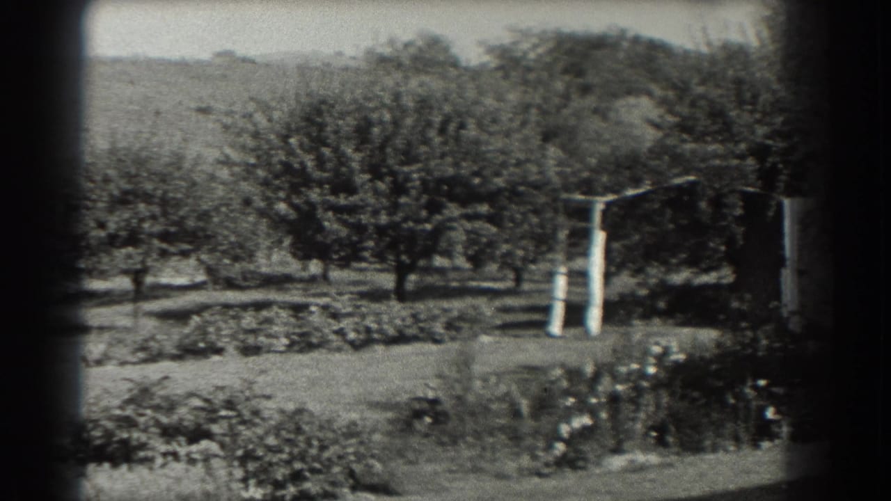 Black-and-white garden view with trees, lawn, flower beds, and a simple trellis.