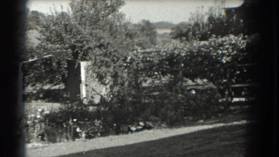1937 Southampton garden footage frame showing dense foliage, trees, flower beds, a lawn edge, and part of a trellis.