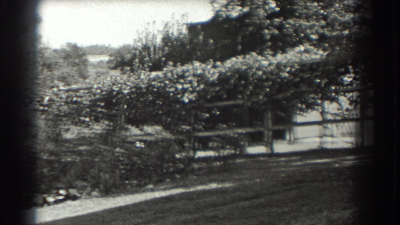 Orchard trees and wooden fence beside a garden path.