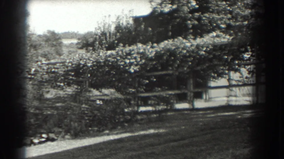 1937 Southampton home-movie frame showing orchard trees, shrubs, a wooden fence, lawn, and a pale garden path.