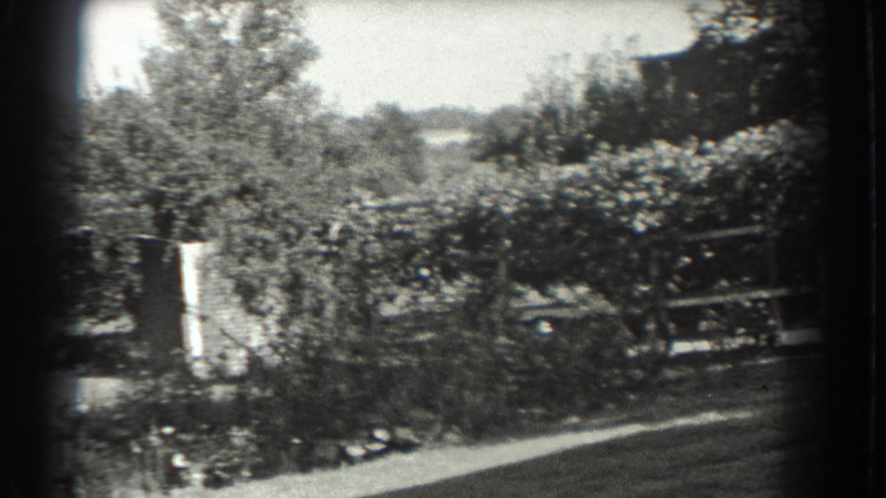 Garden edge with trees, fence sections, and light fabric near foliage.