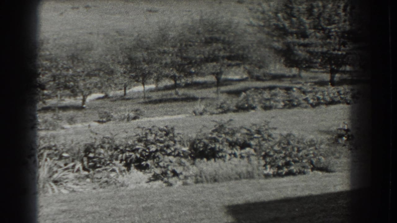 Garden beds and trees seen through a dark film-frame border.