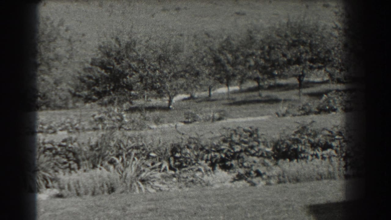 1937 Southampton yard view with shrubs, trees, and open grass, framed by the edge of the 8mm film image.