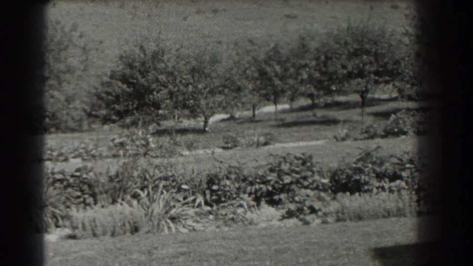 1937 Southampton yard view with shrubs, trees, and open grass, framed by the edge of the 8mm film image.