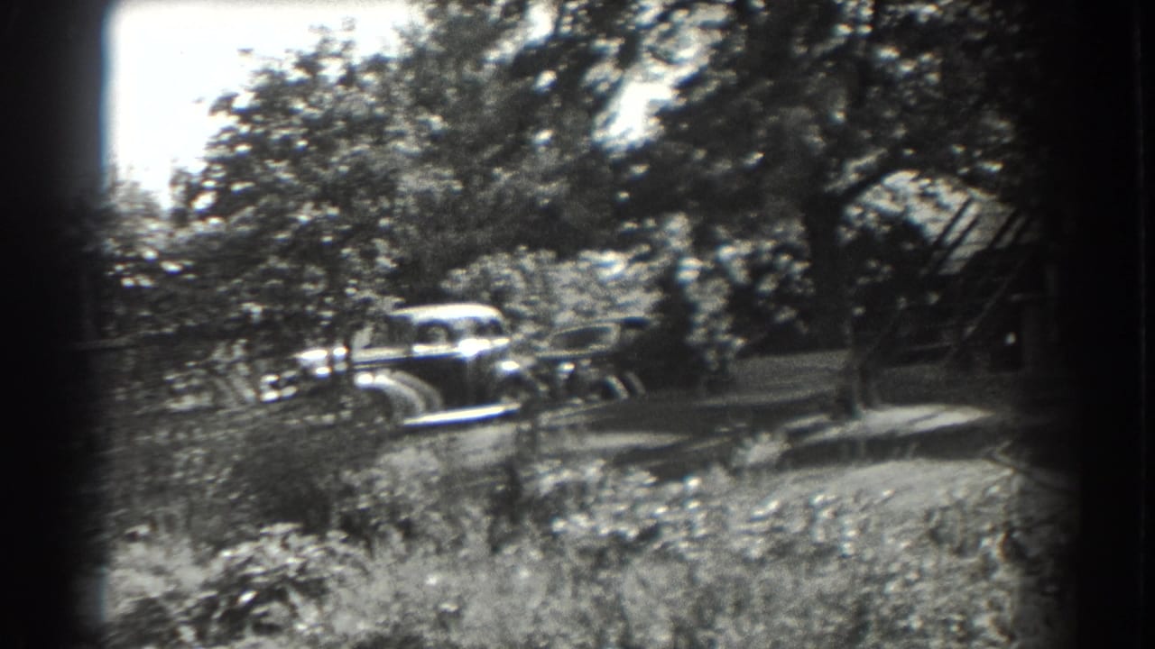 Parked vintage car seen behind trees and garden growth near a yard.