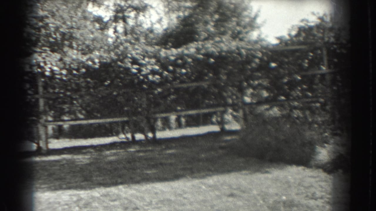 Trees and a white fence seen across a sunlit lawn in black-and-white footage.