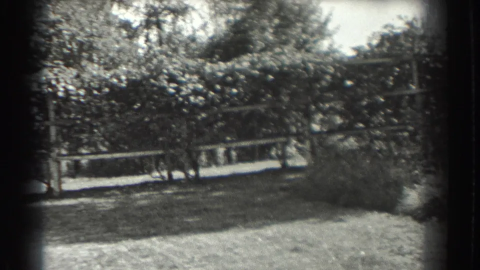 1937 Southampton, New York home-movie frame showing leafy trees, lawn, and a white fence in bright outdoor light.