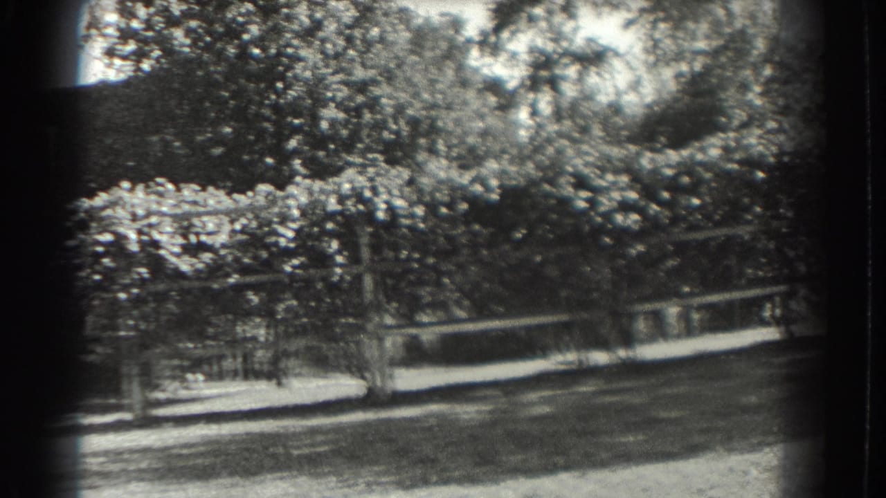 Black-and-white 8mm frame of a Southampton garden with trees, white fencing, lawn, and a trellis-like structure.