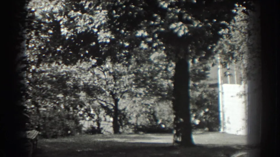 1937 home-movie frame showing a shaded garden with a large tree trunk and bright white fence or gate at right.