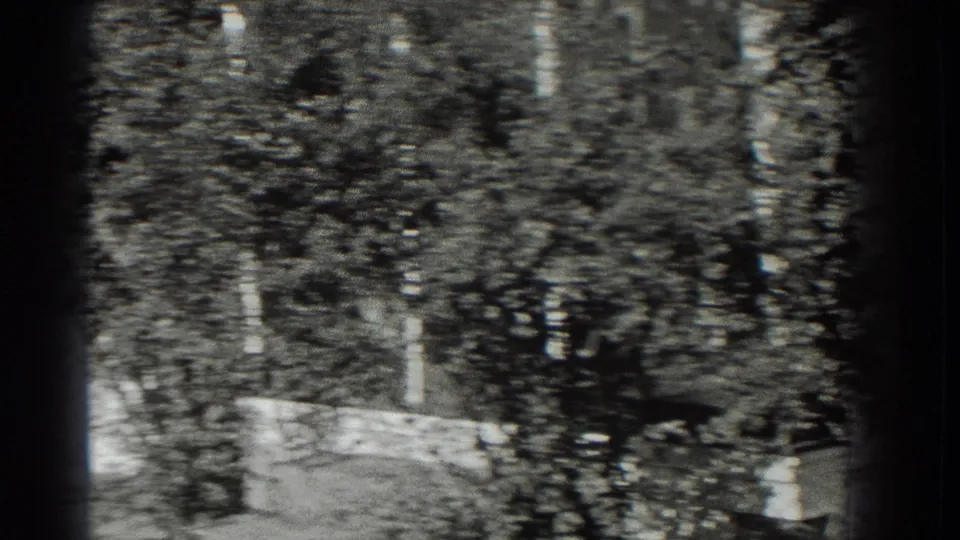 1937 Southampton home-movie frame showing shaded roadside foliage, tree trunks, and a low curb or fence edge.
