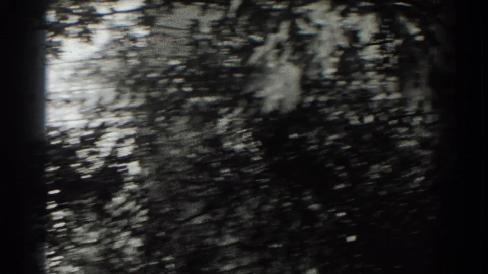 Soft 8mm frame of shaded Southampton foliage, with garden planting and roadway edges difficult to distinguish.