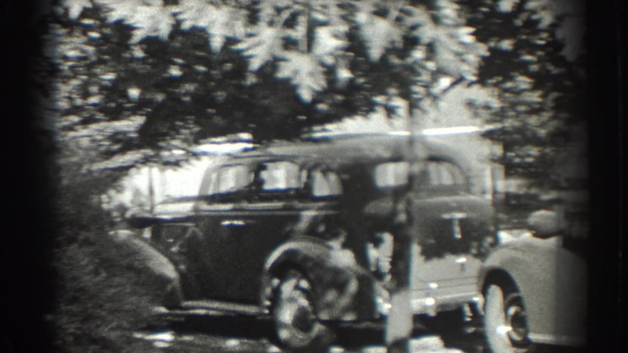 Two women stand or walk near parked classic cars beneath leafy trees.