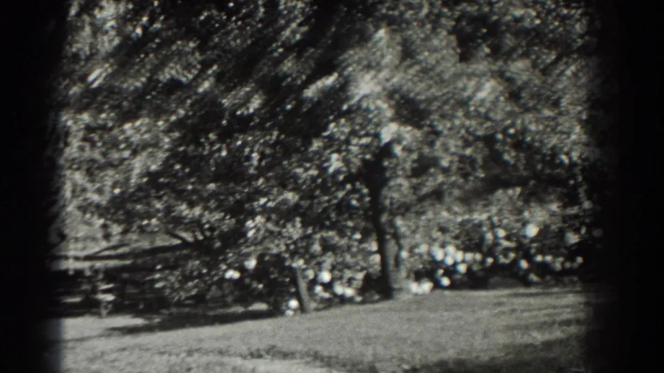 The handheld camera drifts across trees and lawn, with a partly visible figure near the frame edge.