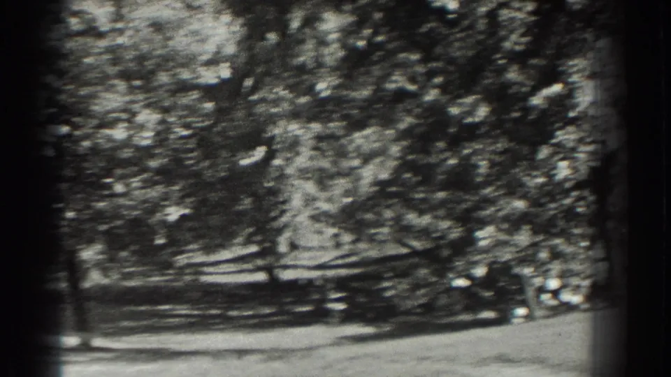 A softly focused 1937 park view shows a woman in a light dress moving through trees and shadow.
