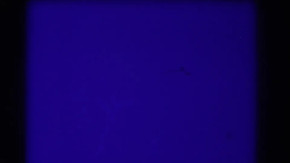 A blue leader-like or exposure frame appears in the 8mm scan, bordered by dark film-gate edges.