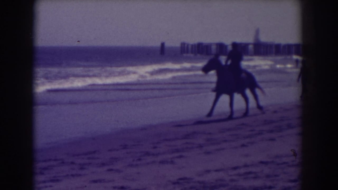 Horse and rider move along a sandy beach near surf, with a distant pier behind them.