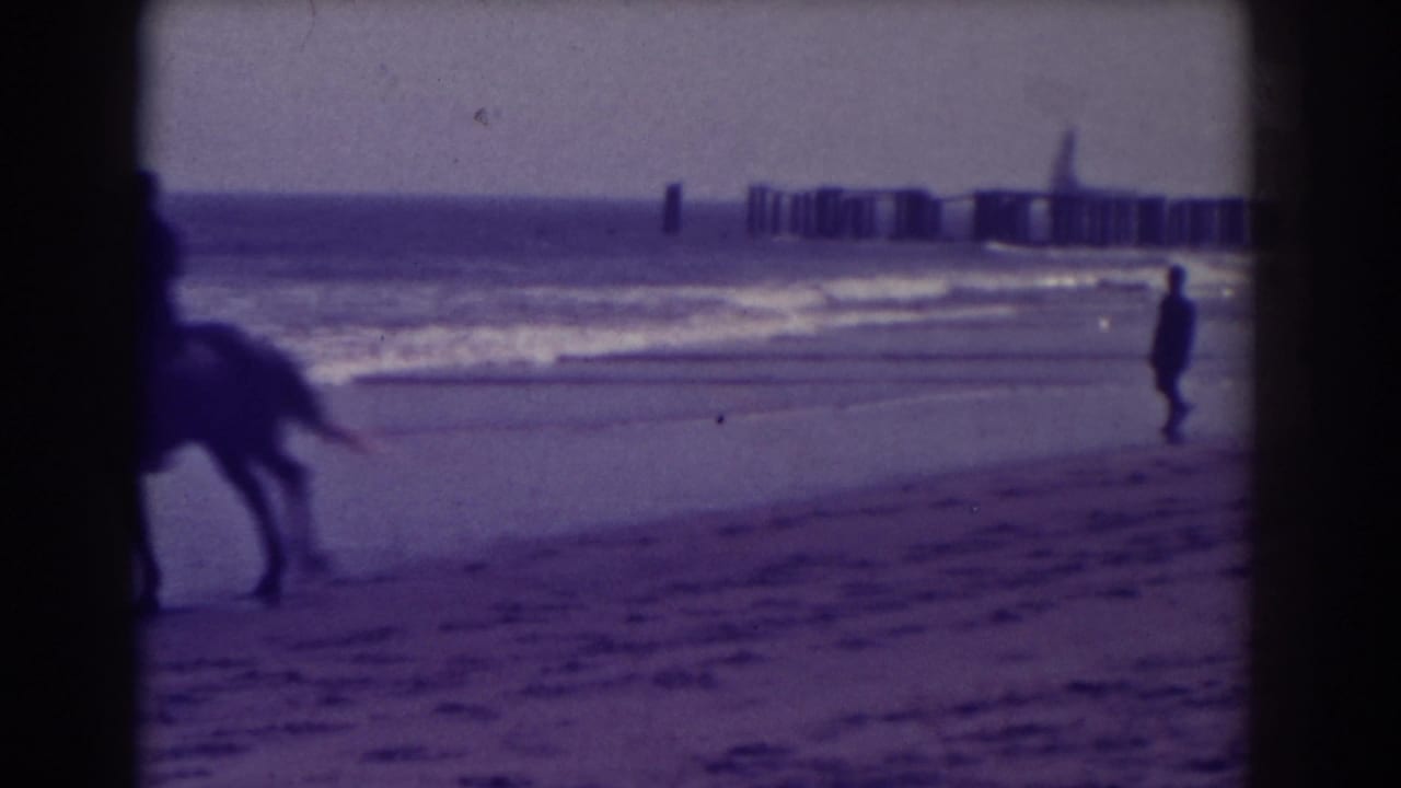 A horse and rider pass partly out of frame while a lone person walks near the surf.