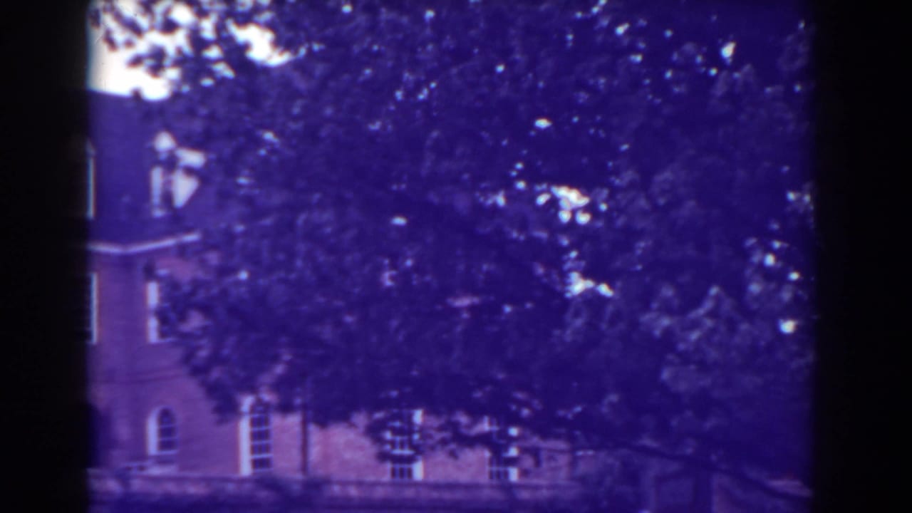 Brick building and roofline partly obscured by a large tree canopy.