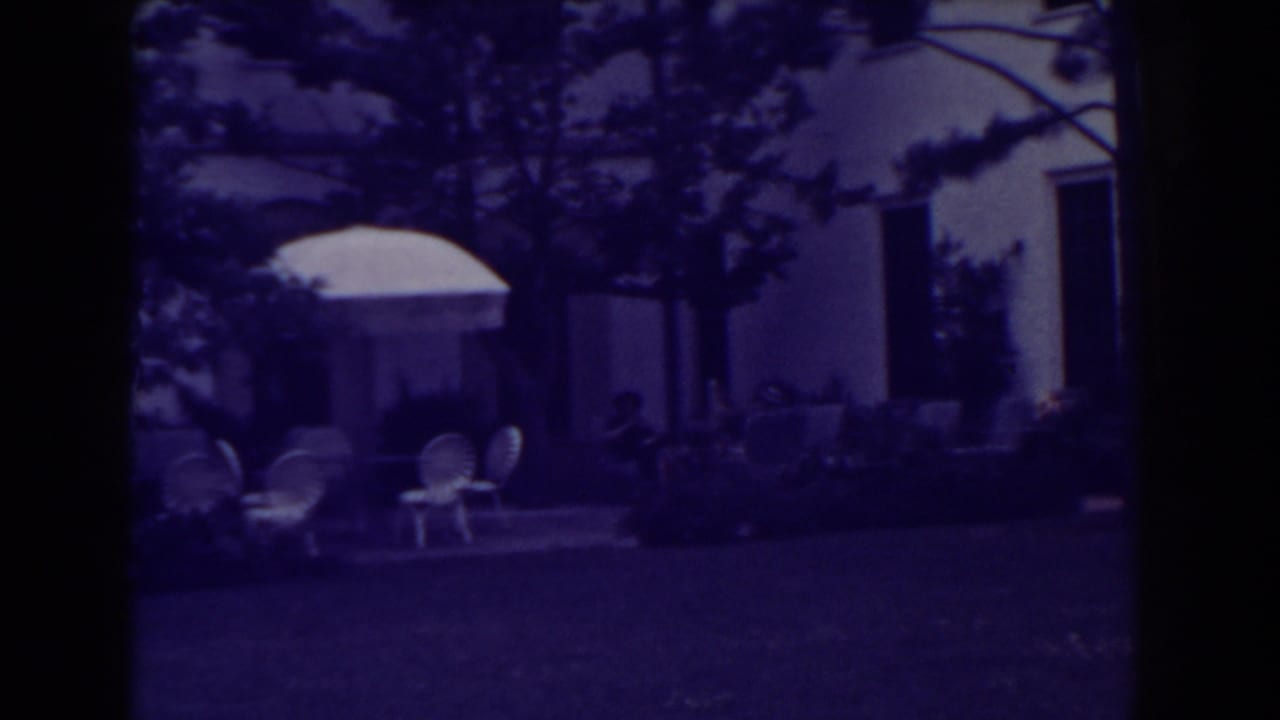 Backyard patio with umbrella, chairs, trees, lawn, and distant seated people.