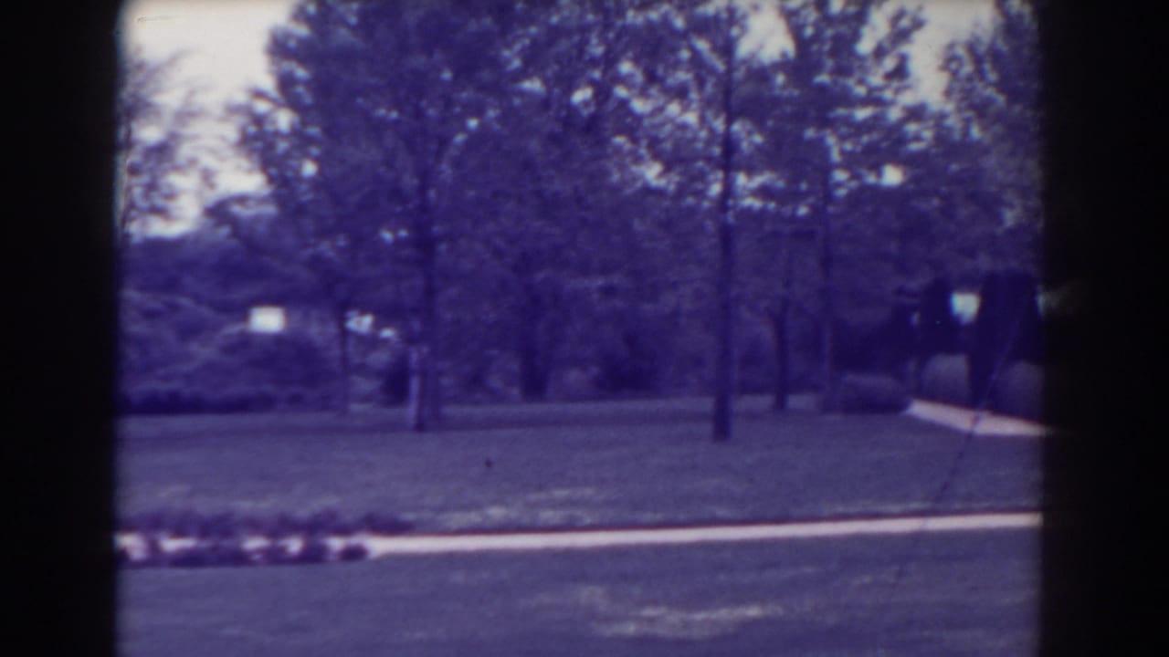 Grassy lawn with trees and a pale path, seen through dark 8mm frame borders.