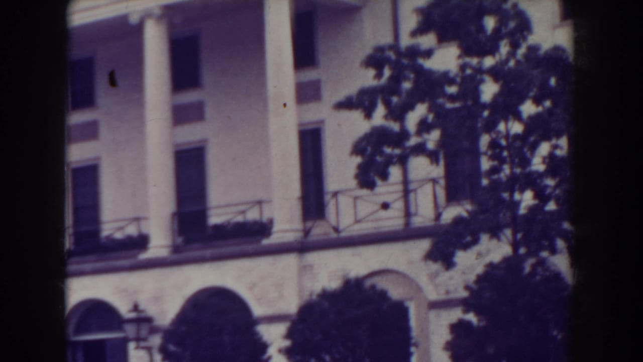 Columned white building partially blocked by a tree and dark vertical frame shadow.