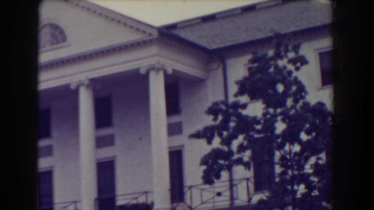 Upper facade of a white columned building with a triangular pediment and tree at right.