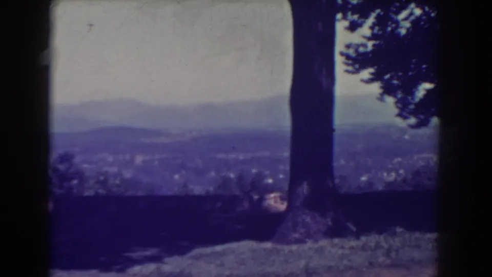 Elevated 1938 Atlantic City view across a distant town, framed by a tree trunk and shaded grass in the foreground.