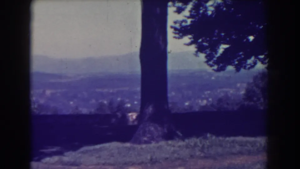1938 Atlantic City home-movie view with a large tree trunk, shaded lawn, distant town, and low hills.