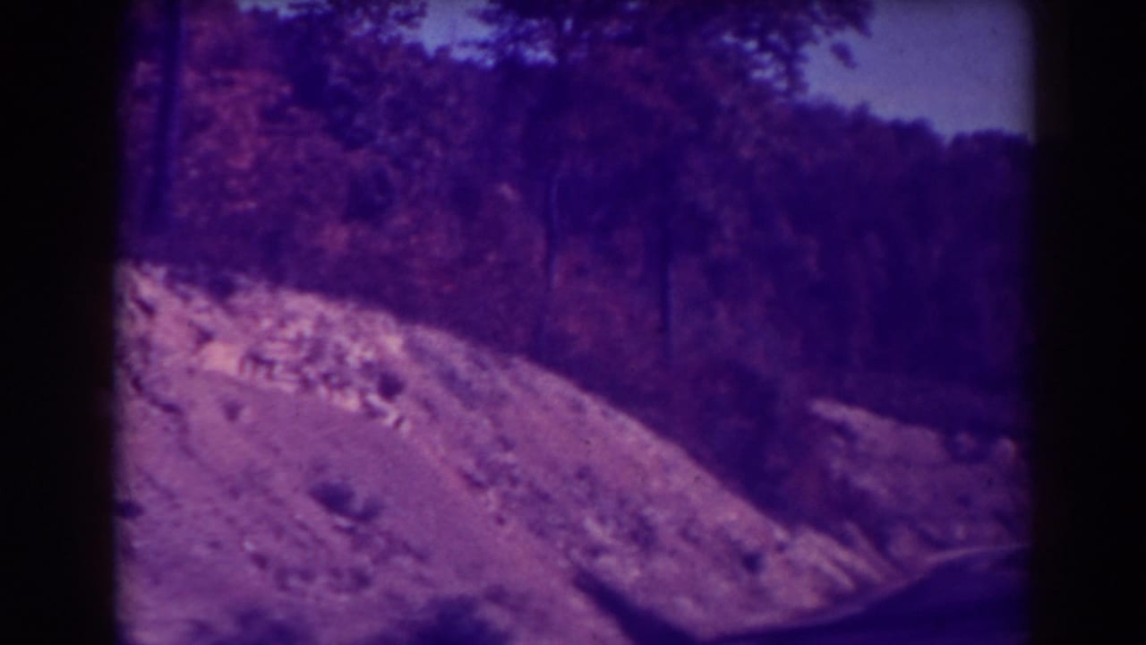 Blackwater Falls area road view with pale exposed rock, trees, and a wooded ridge in purple-shifted 8mm color.