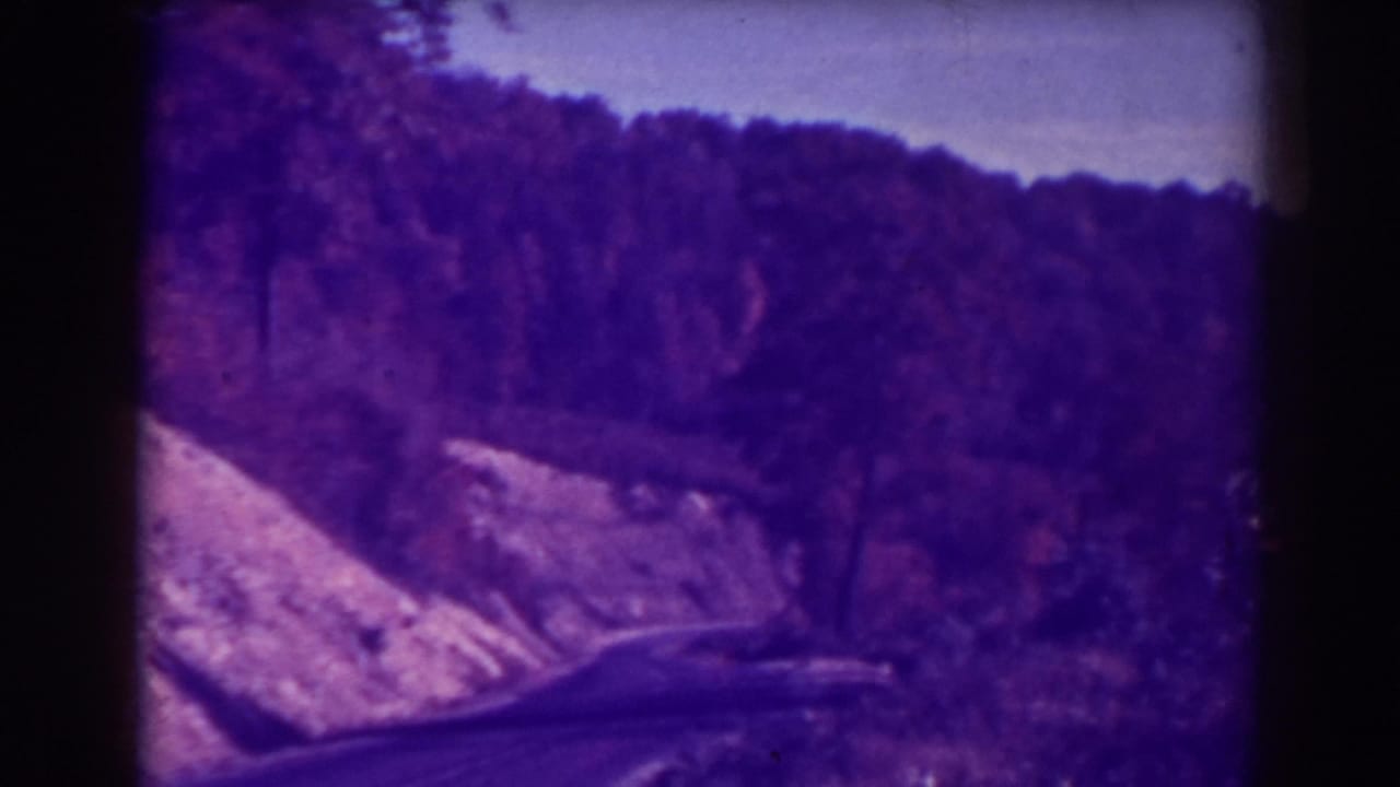 Winding road along a wooded hillside with heavy purple film tint.