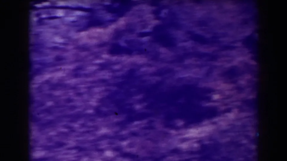 Soft, purple-shifted 1938 8mm frame from Blackwater Falls showing an indistinct rocky or ground surface before the waterfall view settles.