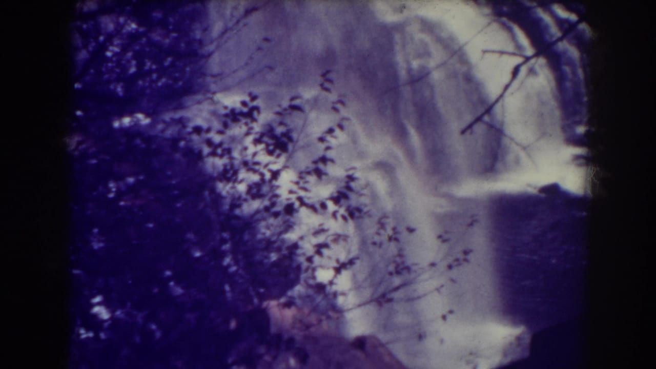 Waterfall descending behind dark branches and leafy foreground growth.
