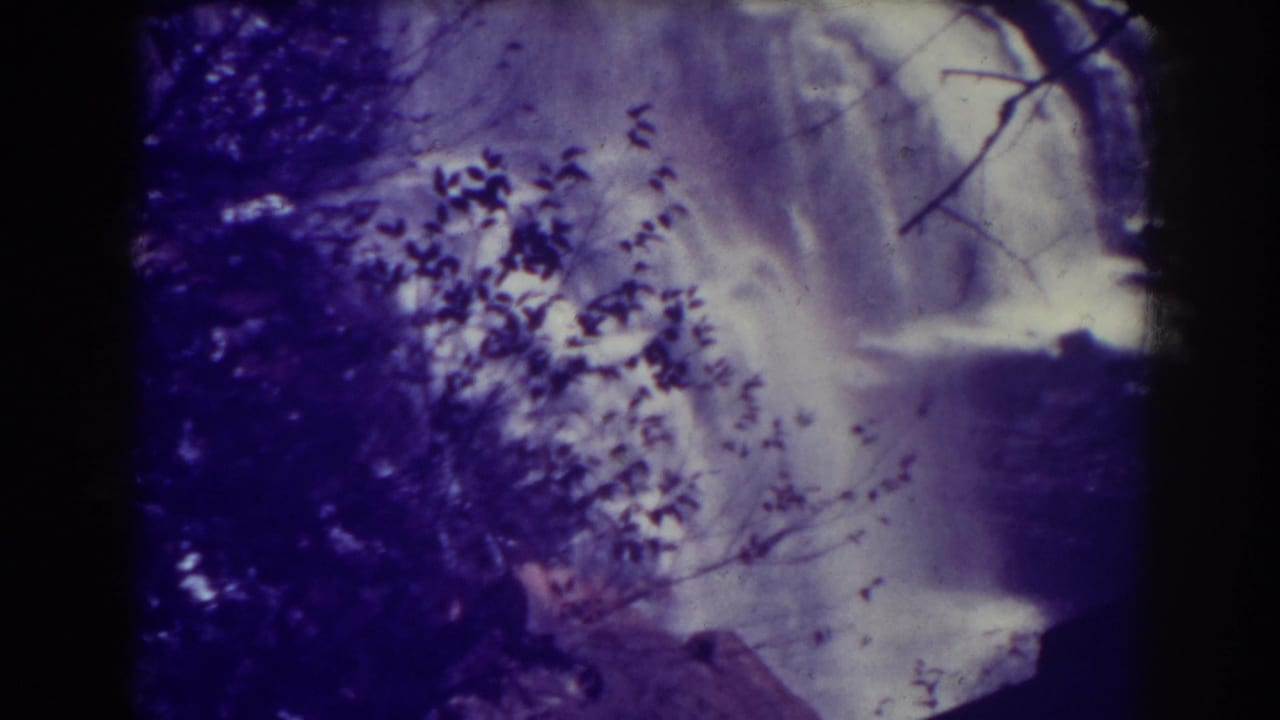 A visitor-shot 8mm view of Blackwater Falls shows water dropping behind silhouetted foliage and dark rock.