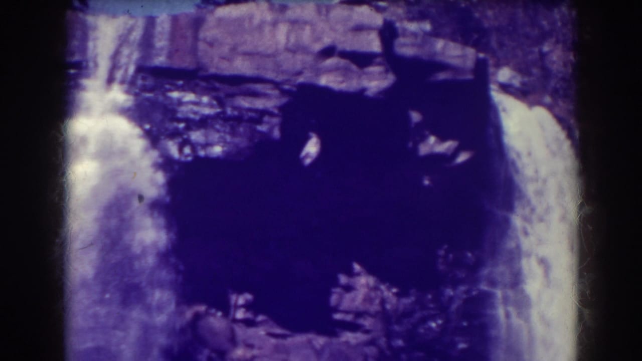 Two waterfall streams divided by dark rocks in a soft color film frame.