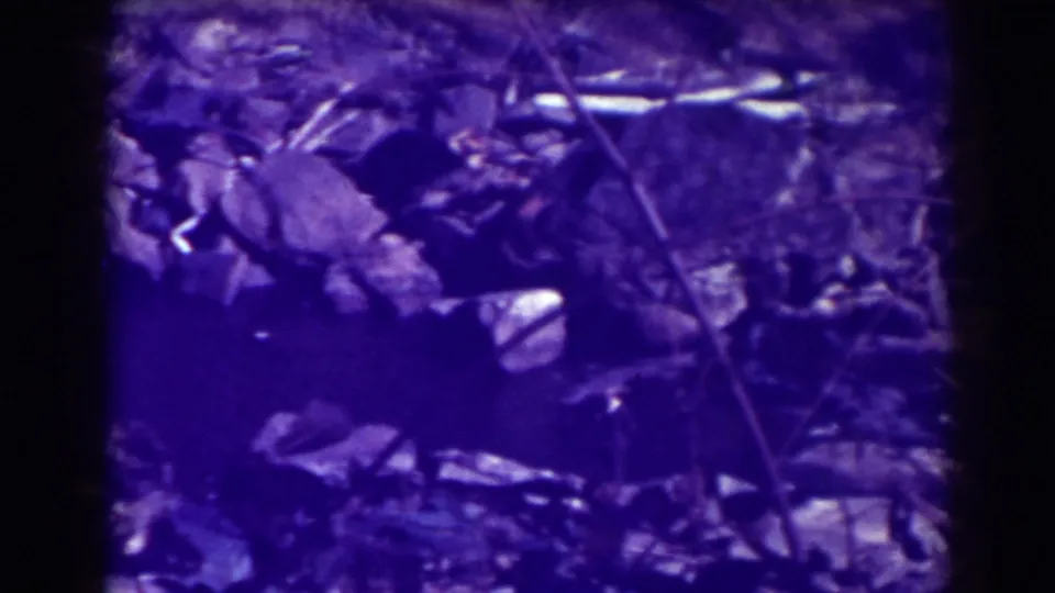 A 1938 Blackwater Falls 8mm frame shows leaf litter, twigs, rocks, and dark water along the wooded river edge.