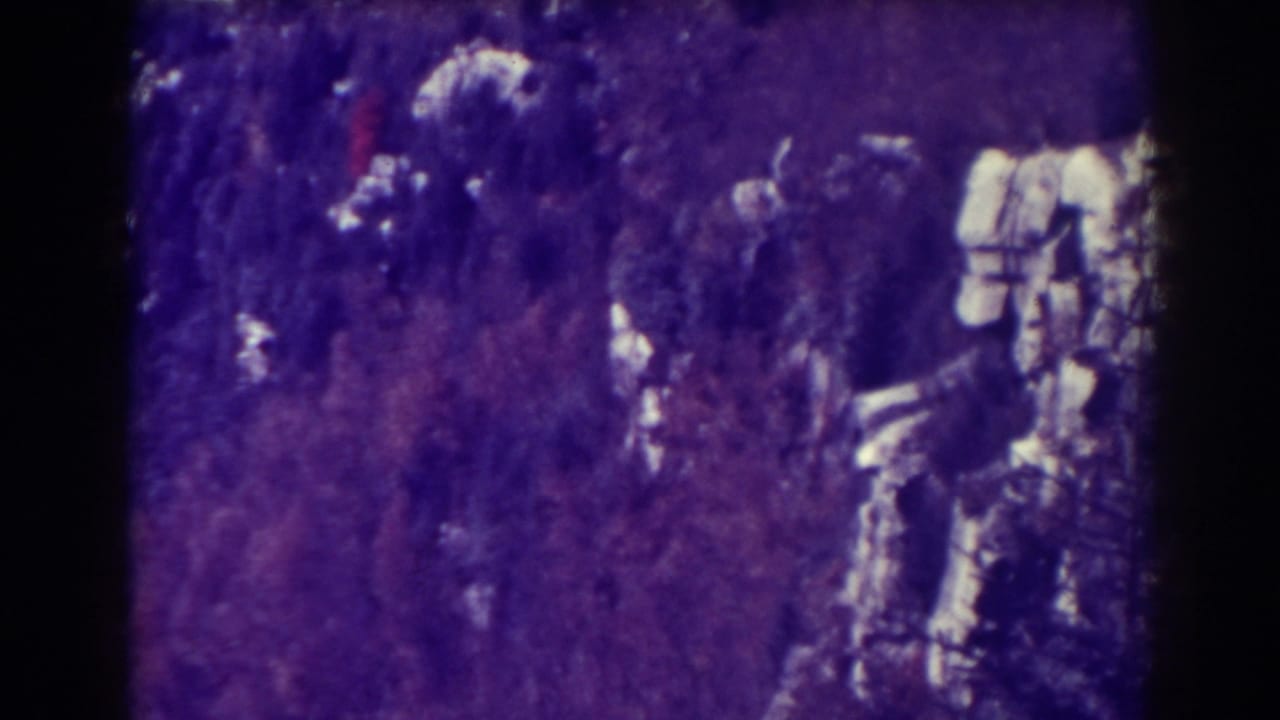 Forested mountainside with a pale rocky outcrop at the right edge.